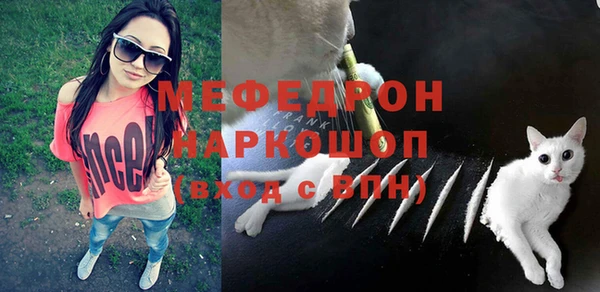 амф Няндома