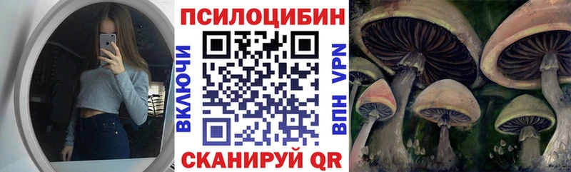 где найти наркотики  кракен tor  Псилоцибиновые грибы Magic Shrooms  Чишмы 